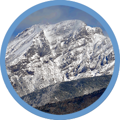 news2512winterholidays00